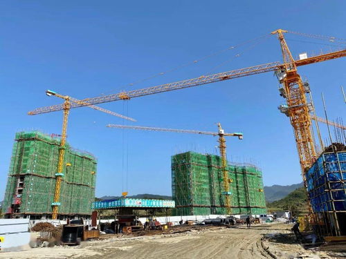 總投資4.3億元！壇廠棚改項目進展順利，項目擔保機制保障居民權益